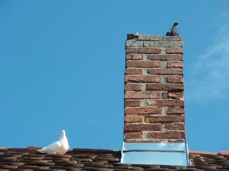 no chimney cap - Austin TX - Atlas Chimney